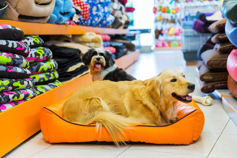 Pet Beds and Mattresses