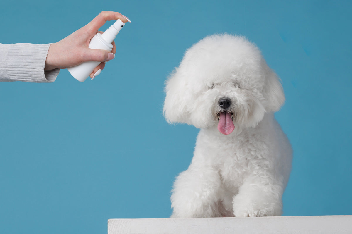 Pet Odor Control & Fragrances