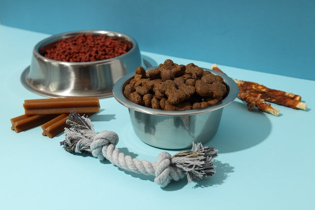 Pet Bowls