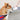 Hydration on the Go: MOESTAR Rocket Cup for Pets-0