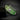 The "Eros" collar 2 inch wide Green-0